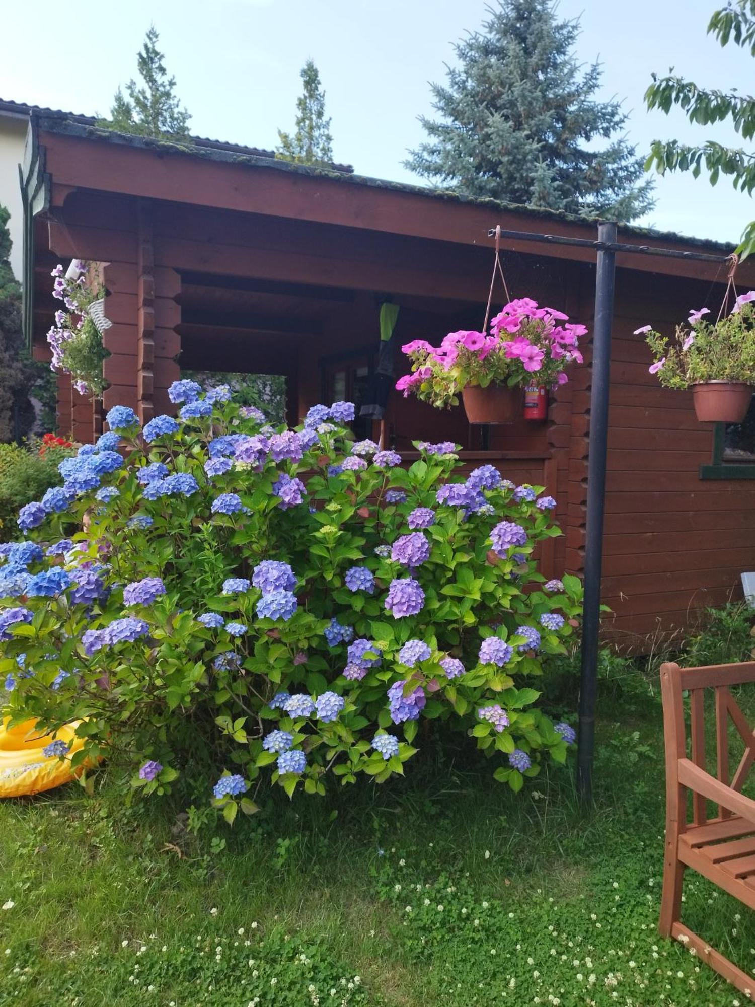 Szyper Pokoje Władysławowo 외부 사진